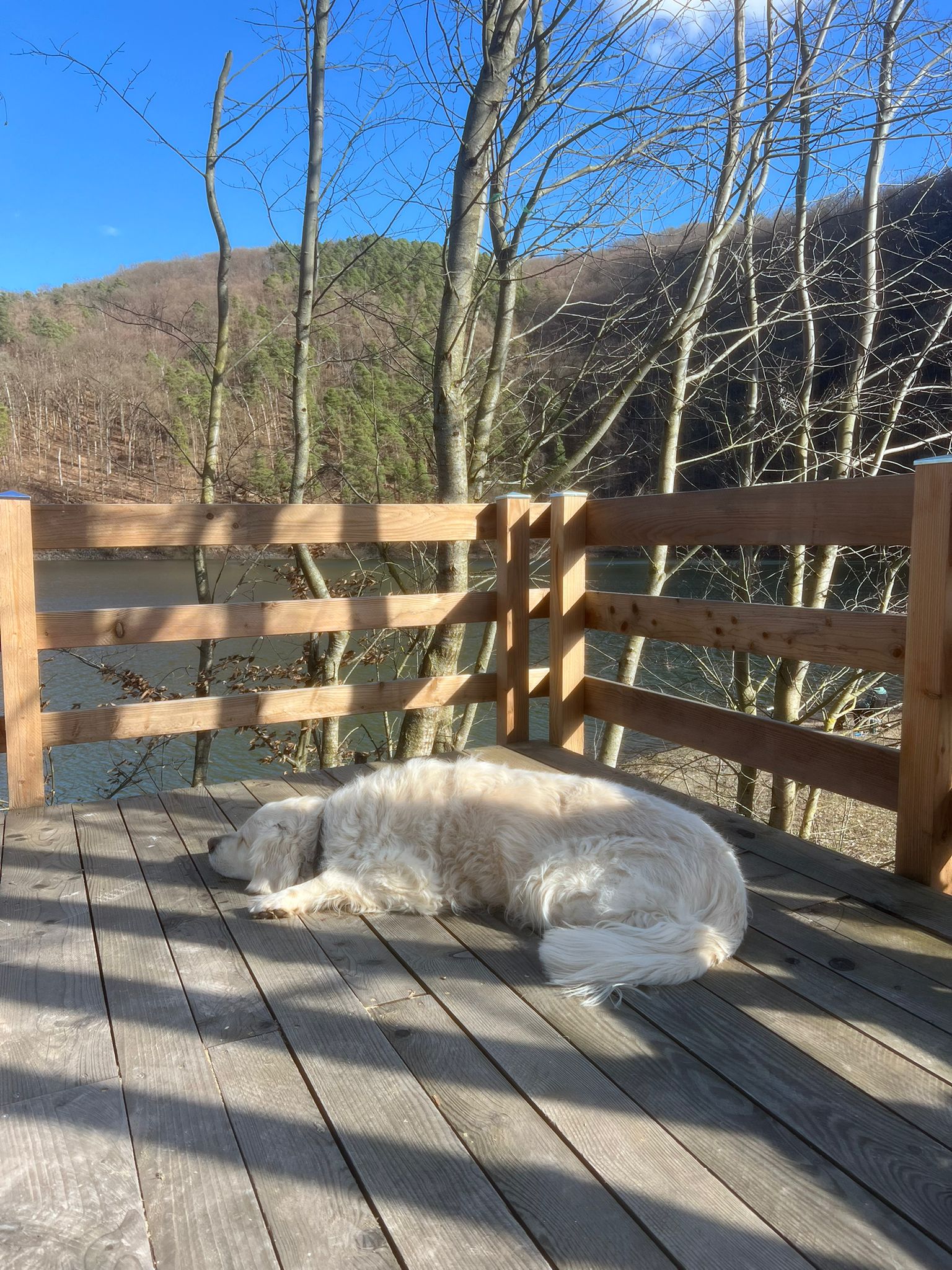 Hunde willkommen – Sonniger Wintertag auf der Terrasse von See in Sicht